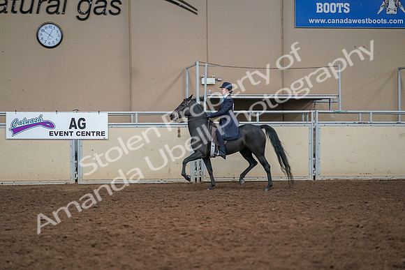 2019 Morgan Horse Show - Aug 30, 2019 - 12235