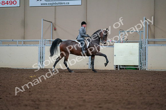 2019 Morgan Horse Show - Aug 30, 2019 - 21022