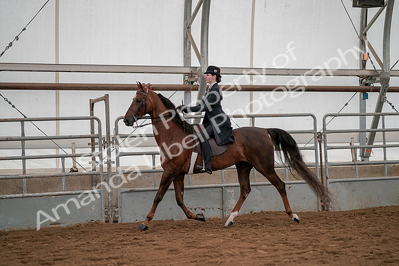 July 19, 2019 - 2995