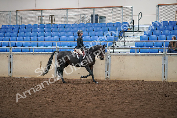 2019 Morgan Horse Show - Aug 30, 2019 - 12442