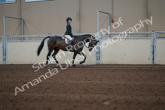 2019 Morgan Horse Show - Sept 01, 2019 - 03851