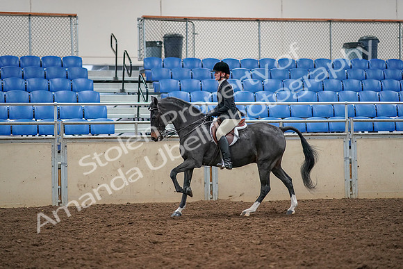 2019 Morgan Horse Show - Aug 30, 2019 - 23423