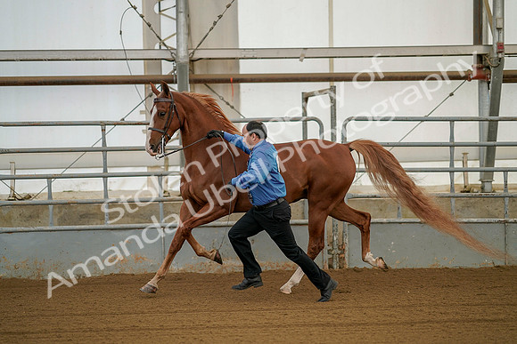 July 19, 2019 - 50