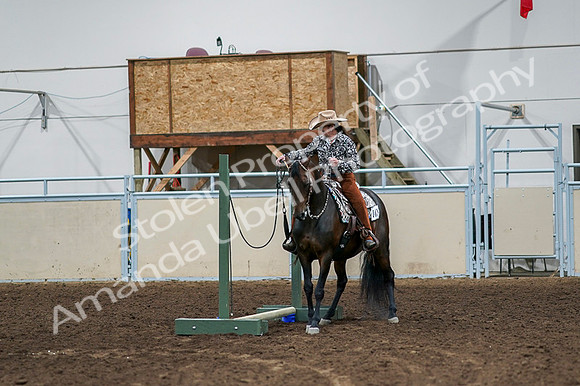 2020 - AB Morgan Horse - Fri, Sept 04 - 00361