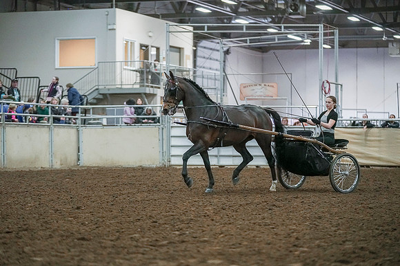 Spring Fling - Saturday - April 20, 2019  -  00221