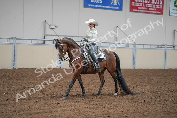 2020 - AB Morgan Horse - Sat, Sept 05 - 09031