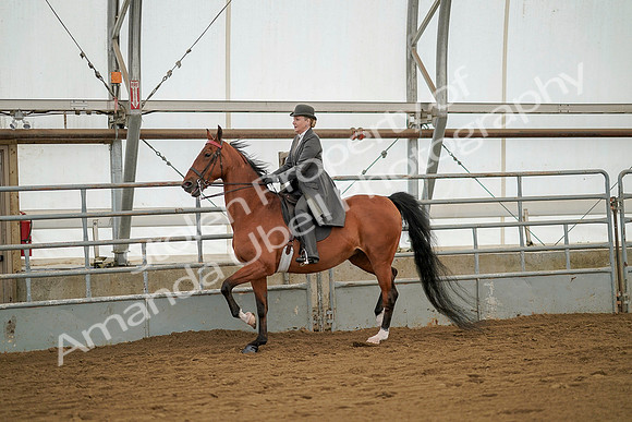 July 20, 2019 - 02303