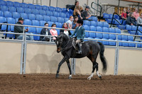 2020 - AB Morgan Horse - Fri, Sept 04 - 07727