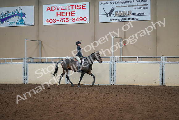 2019 Morgan Horse Show - Aug 30, 2019 - 12476