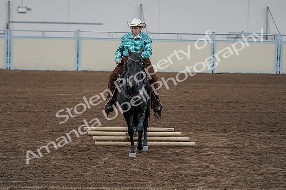 2020 - AB Morgan Horse - Fri, Sept 04 - 00523