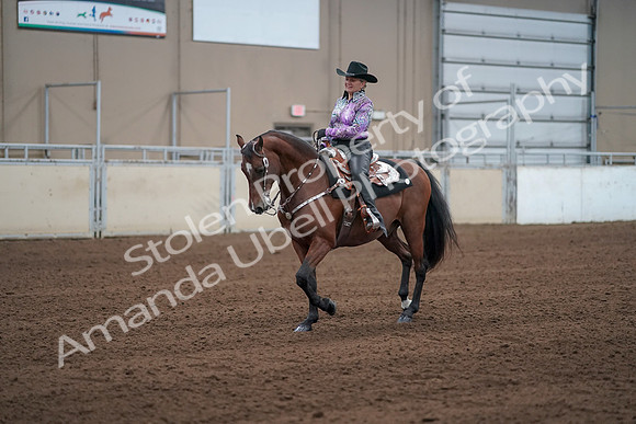2019 Morgan Horse Show - Sept 01, 2019 - 07213