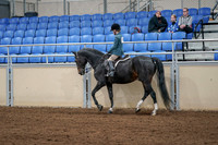 2020 - AB Morgan Horse - Fri, Sept 04 - 07739