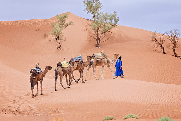 Morocco - 107