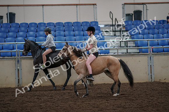 2019 Morgan Horse Show - Aug 30, 2019 - 31233