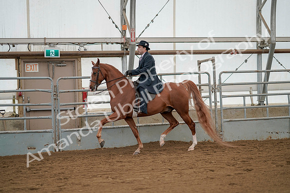 July 20, 2019 - 02087