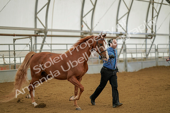 July 19, 2019 - 896