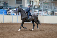 2020 - AB Morgan Horse - Fri, Sept 04 - 06973