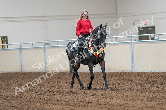 2020 - AB Morgan Horse - Sat, Sept 05 - 10498