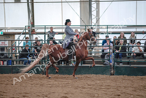 July 20, 2019 - 17153