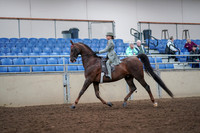 2019 Morgan Horse Show - Aug 30, 2019 - 17776