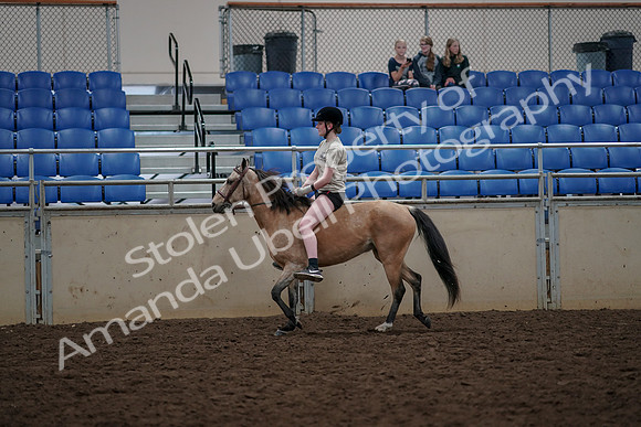 2019 Morgan Horse Show - Aug 30, 2019 - 31072