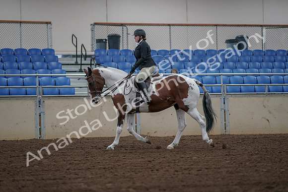 2019 Morgan Horse Show - Aug 30, 2019 - 14919