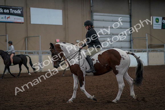 2019 Morgan Horse Show - Aug 30, 2019 - 31158