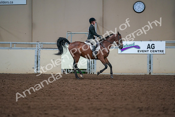 2019 Morgan Horse Show - Aug 30, 2019 - 21046