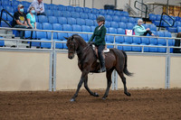 2020 - AB Morgan Horse - Fri, Sept 04 - 03939
