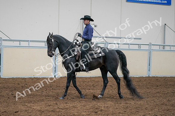 2020 - AB Morgan Horse - Sun, Sept 06 - 07651