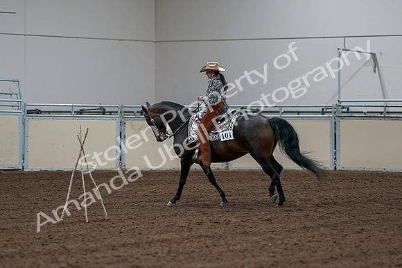 2020 - AB Morgan Horse - Fri, Sept 04 - 00338