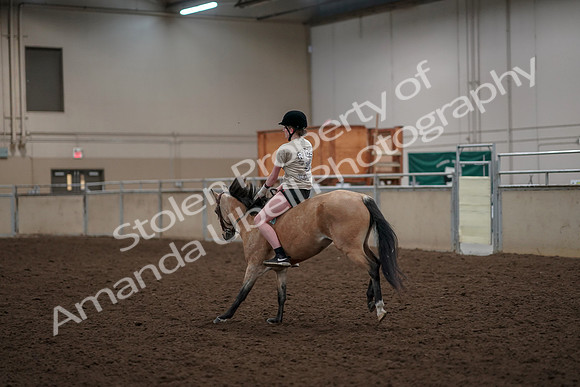 2019 Morgan Horse Show - Aug 30, 2019 - 31245