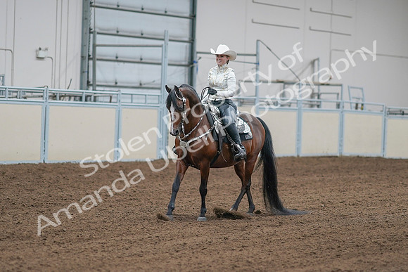 2020 - AB Morgan Horse - Sat, Sept 05 - 09001