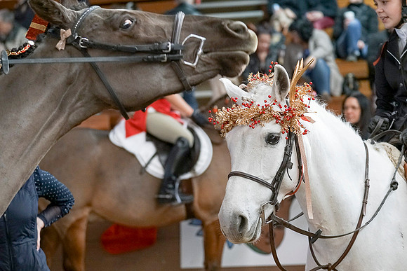 Santa Claus Classic Nov 25 2017 - 05105