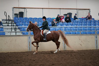 2019 Morgan Horse Show - Aug 31, 2019 - 13784