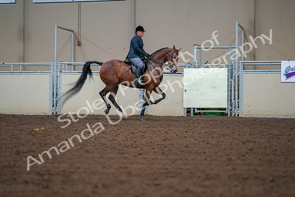 2019 Morgan Horse Show - Aug 30, 2019 - 20986