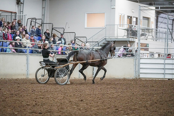 Spring Fling - Saturday - April 20, 2019  -  00284