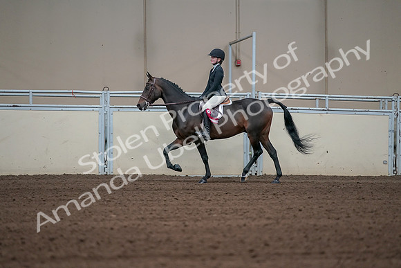 2019 Morgan Horse Show - Sept 01, 2019 - 03982