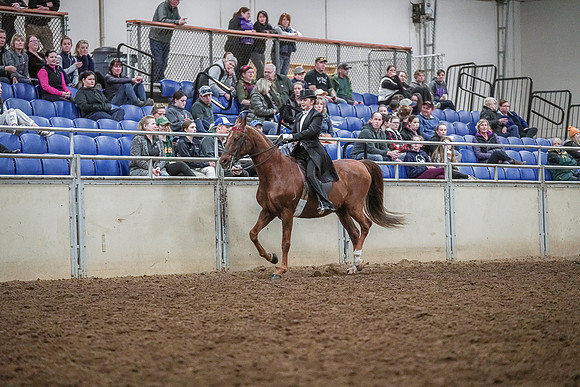 Spring Fling - Saturday - April 20, 2019  -  04305
