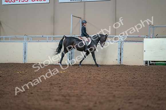2019 Morgan Horse Show - Aug 30, 2019 - 21086