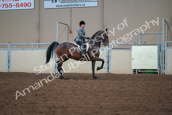 2019 Morgan Horse Show - Aug 30, 2019 - 20933