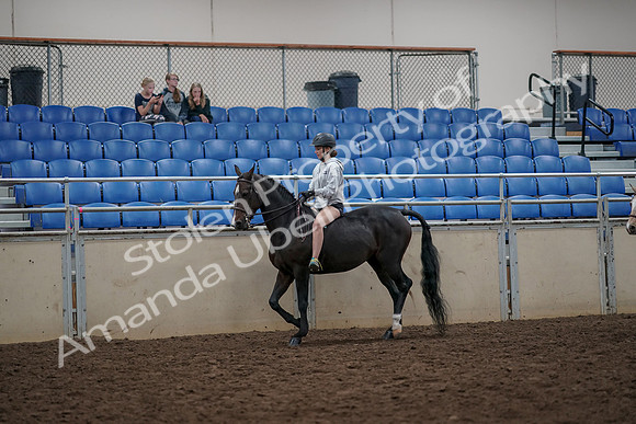 2019 Morgan Horse Show - Aug 30, 2019 - 31208