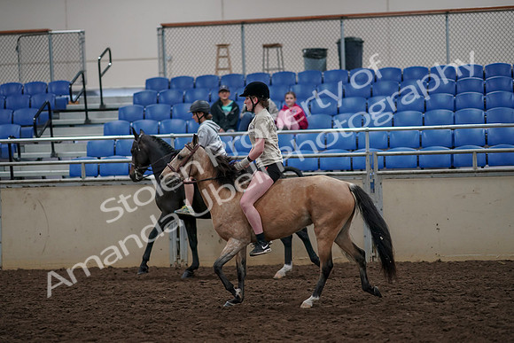 2019 Morgan Horse Show - Aug 30, 2019 - 31241