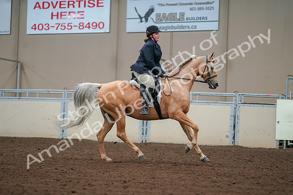 2019 Morgan Horse Show - Aug 30, 2019 - 16429