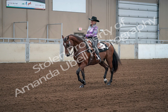 2019 Morgan Horse Show - Sept 01, 2019 - 07214