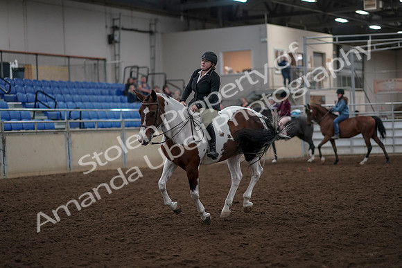 2019 Morgan Horse Show - Aug 30, 2019 - 31278
