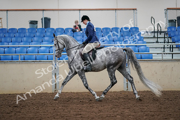 2019 Morgan Horse Show - Aug 30, 2019 - 16065