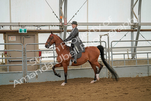July 20, 2019 - 02310
