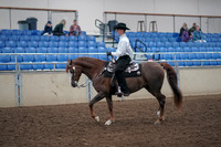 2019 Morgan Horse Show - Aug 31, 2019 - 14108