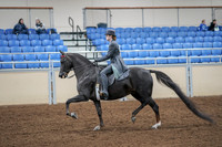 2020 - AB Morgan Horse - Fri, Sept 04 - 05339